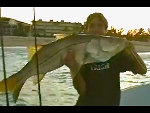 Best Tarpon and Snook fishing Fort Lauderdale  Happy Bait