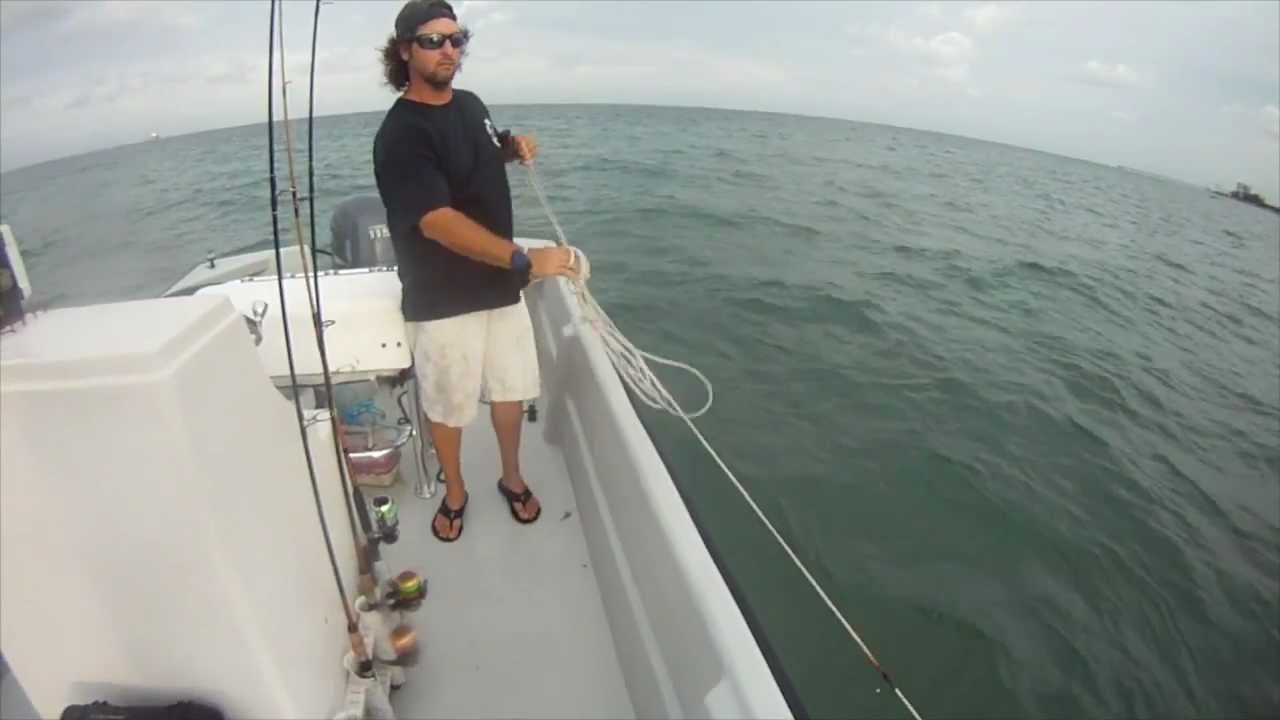 Cast Net Bait 2012 Mullet Run Pre-Migration