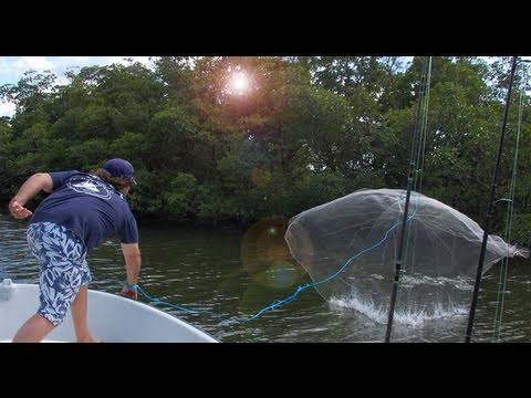 Easy Throw Cast Net Video – Capt Jeff Lunkerdog