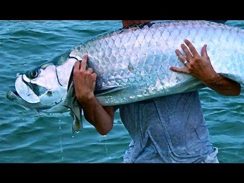 Extreme Tarpon Fishing