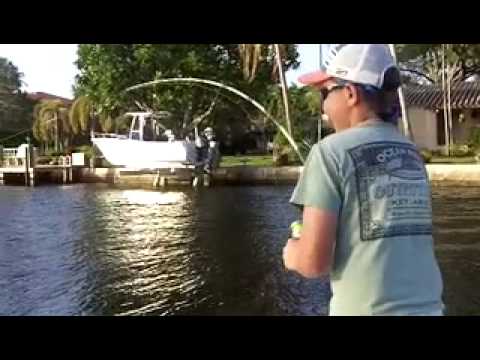 EXTREME Urban Fishing MONSTER Tarpon