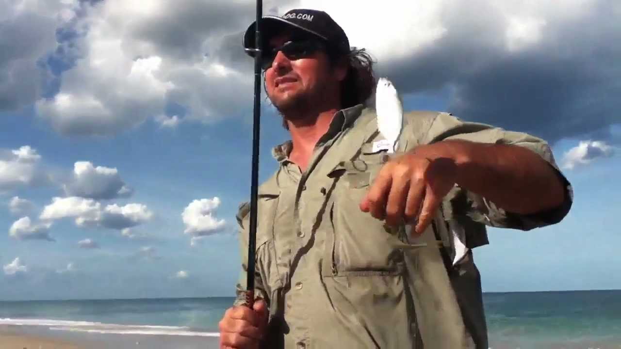Fishing Live Bait Fishing – Beach Pilchard