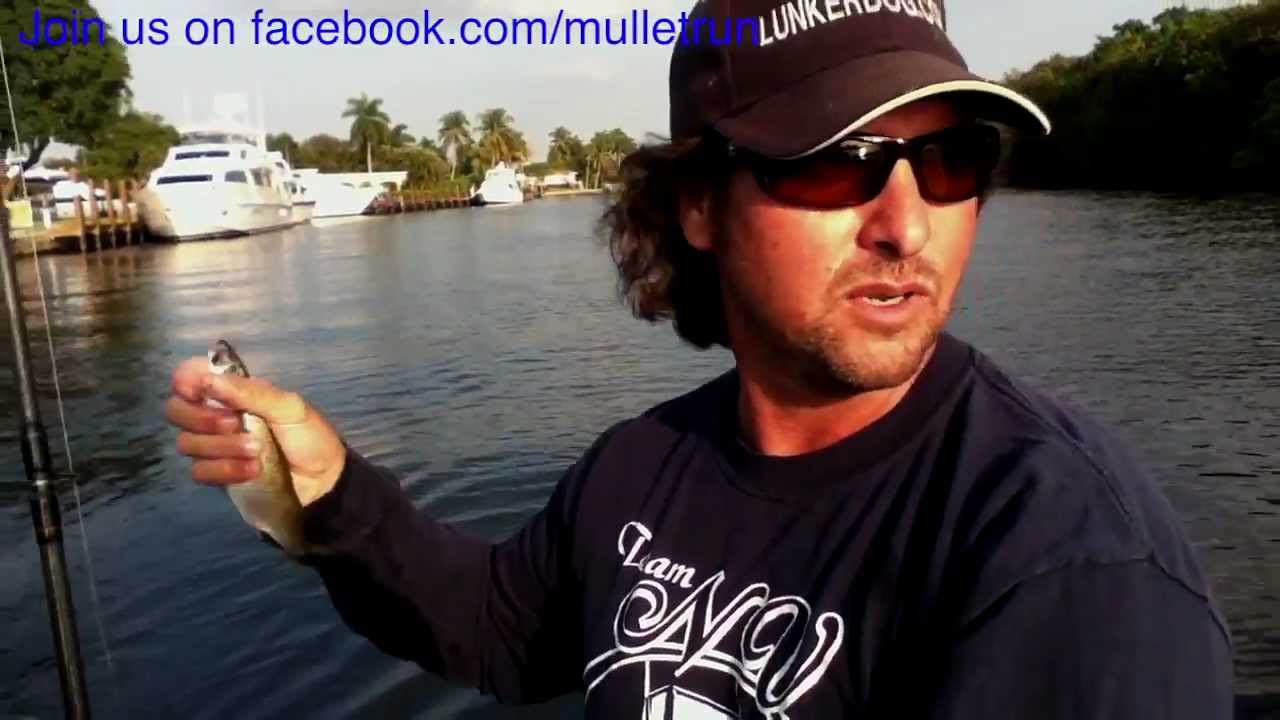 Fishing Tips: How to use Circle Hook on Live Bait