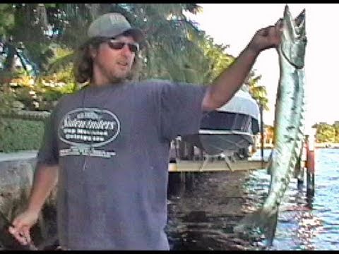 Funny Fishing | Barracuda Jumps in Boat!