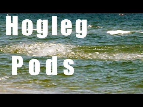 HOGLEG PODS – 2012 Mullet Run Highlight