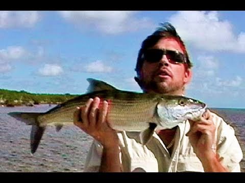 How Big is This Bonefish? Florida or Bahamas?