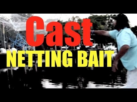 How To Throw A Cast Net SUPER EASY METHOD