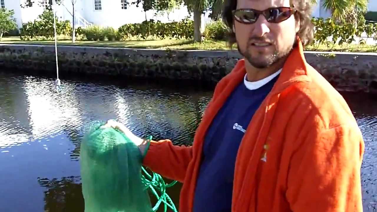 How To Throw A Cheap “Cast Net”