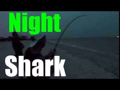 INSANE Beach Shark Fishing