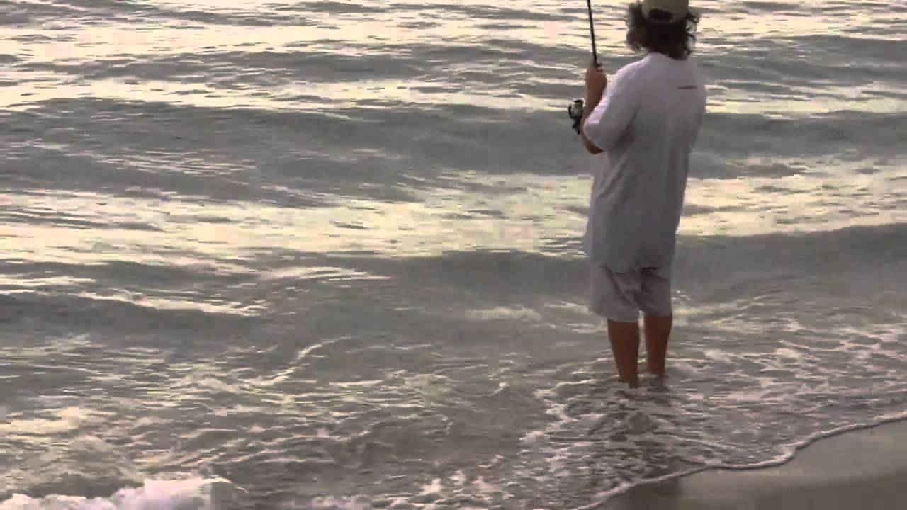 Inshore Live Bait Fishing On The Beach Mullet Run