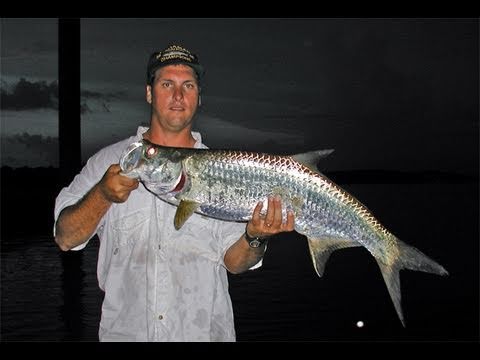 Inshore Secrets of Tarpon Fishing Revealed