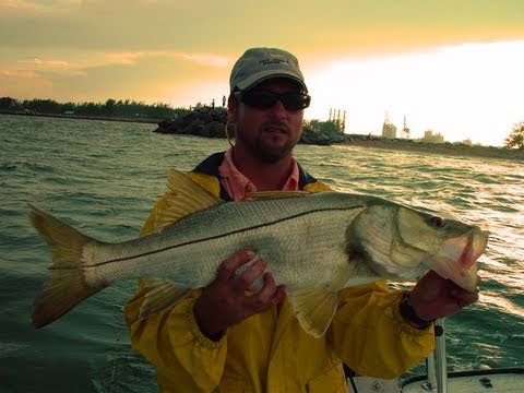 Inshore Snook Fishing Fort Lauderdale Dave McKenzie