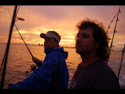 Live Bait Fishing South Florida