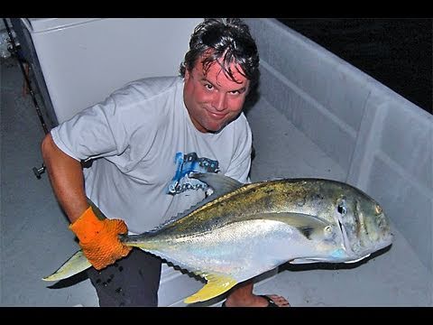 Monster Bruiser Jack Crevalle Fishing With Live Bait