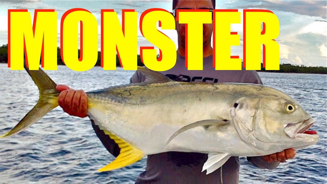 MONSTER FISH caught on Live Bait