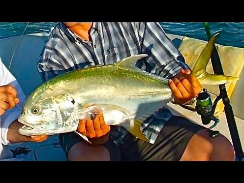 Monster Jack Fishing Inshore Live Bait