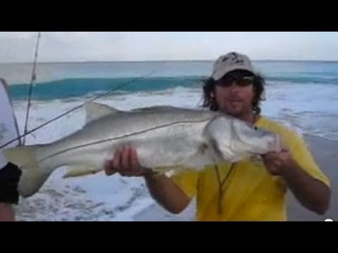 Most Amazing SNOOK video ever