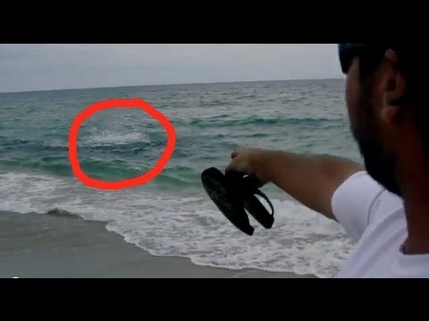 SHARK ATTACK in 3 Feet of Water!