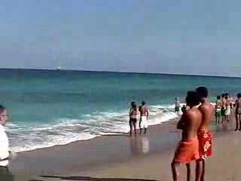 Sharks Terrify Swimmers!!! Fort Lauderdale Beach