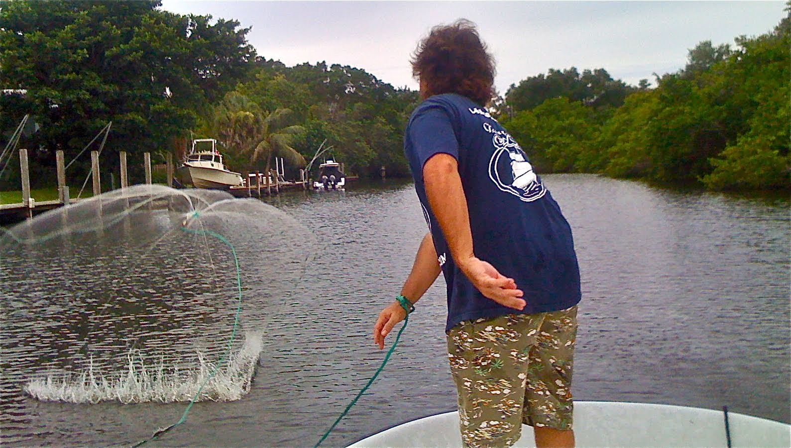 Silver Mullet Snook and Tarpon Bait