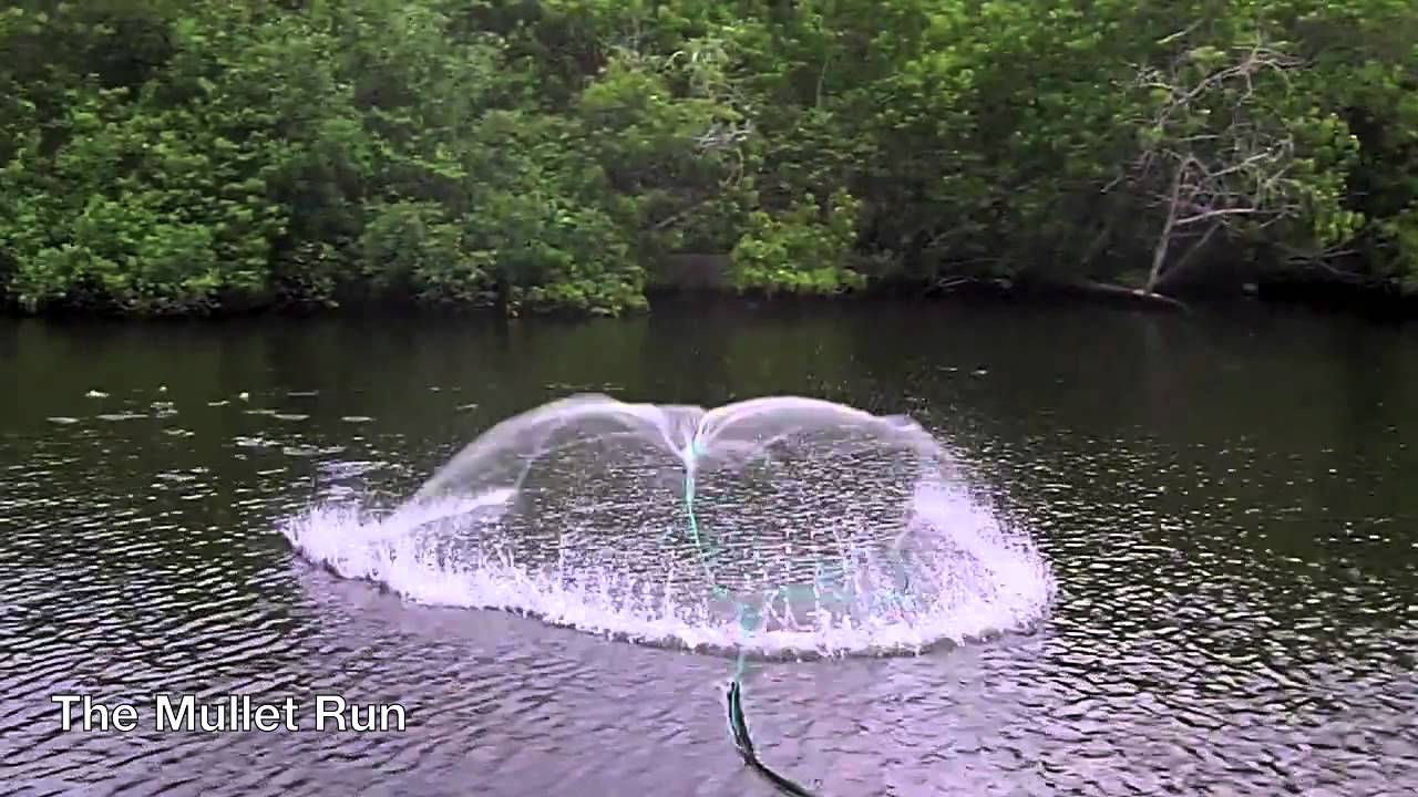 Slow Motion Cast Net Throw | Mullet Run