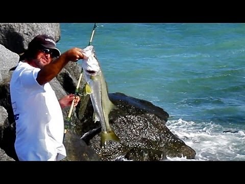 Snook Fishing Jetty – Live Bait