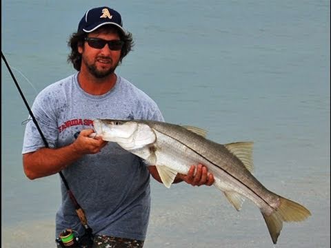 Snook Fishing Live Bait Mullet Beach
