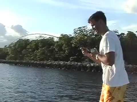 Snook Fishing Port Everglades Fort Lauderdale