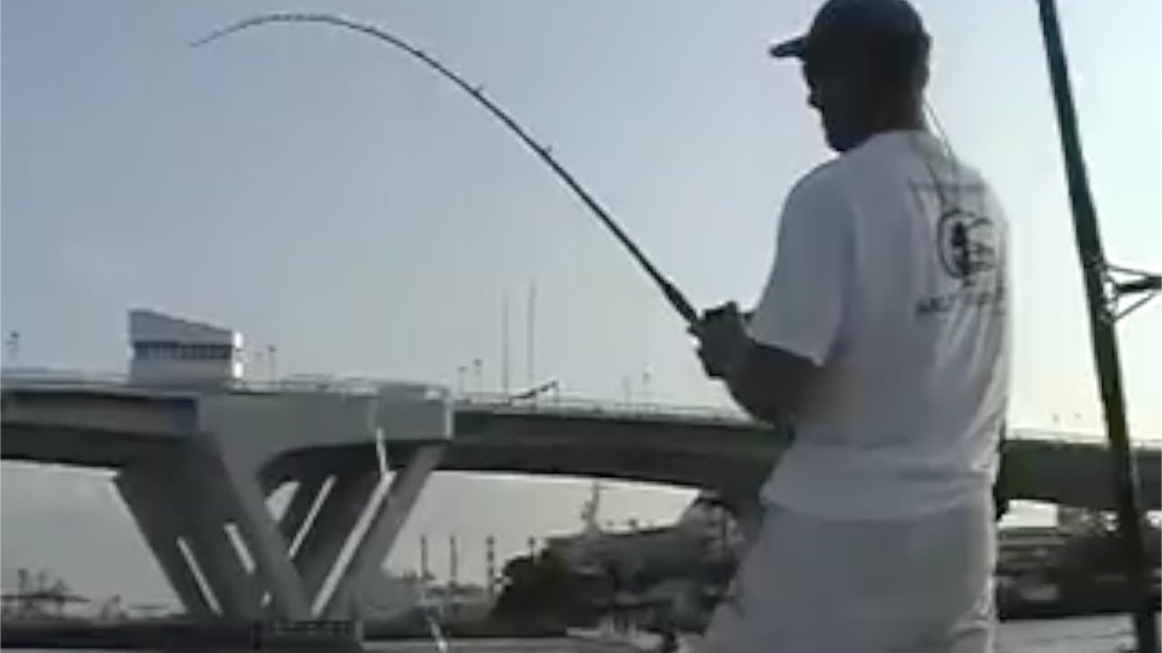 Tarpon Fishing Light Tackle Live Bait