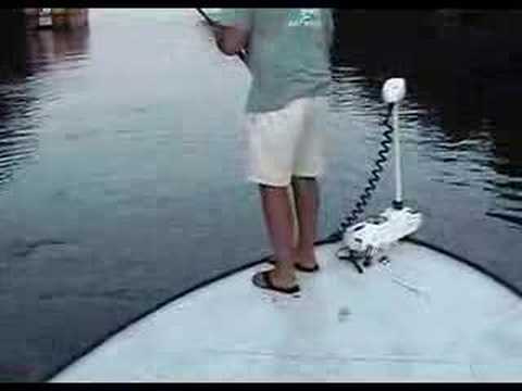 Tarpon Jumps in Boat