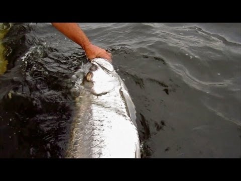 The Mullet Run – Monster Sea Creature Caught!