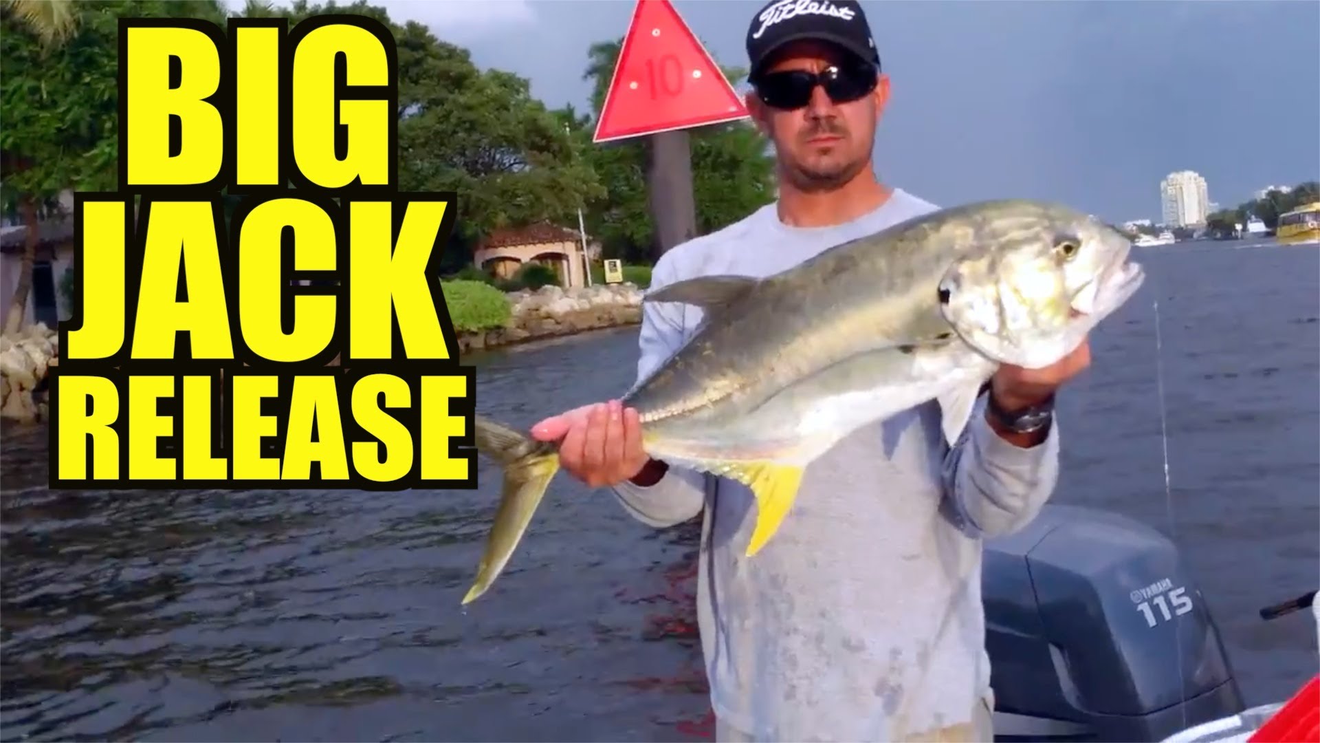 Big Jack Release