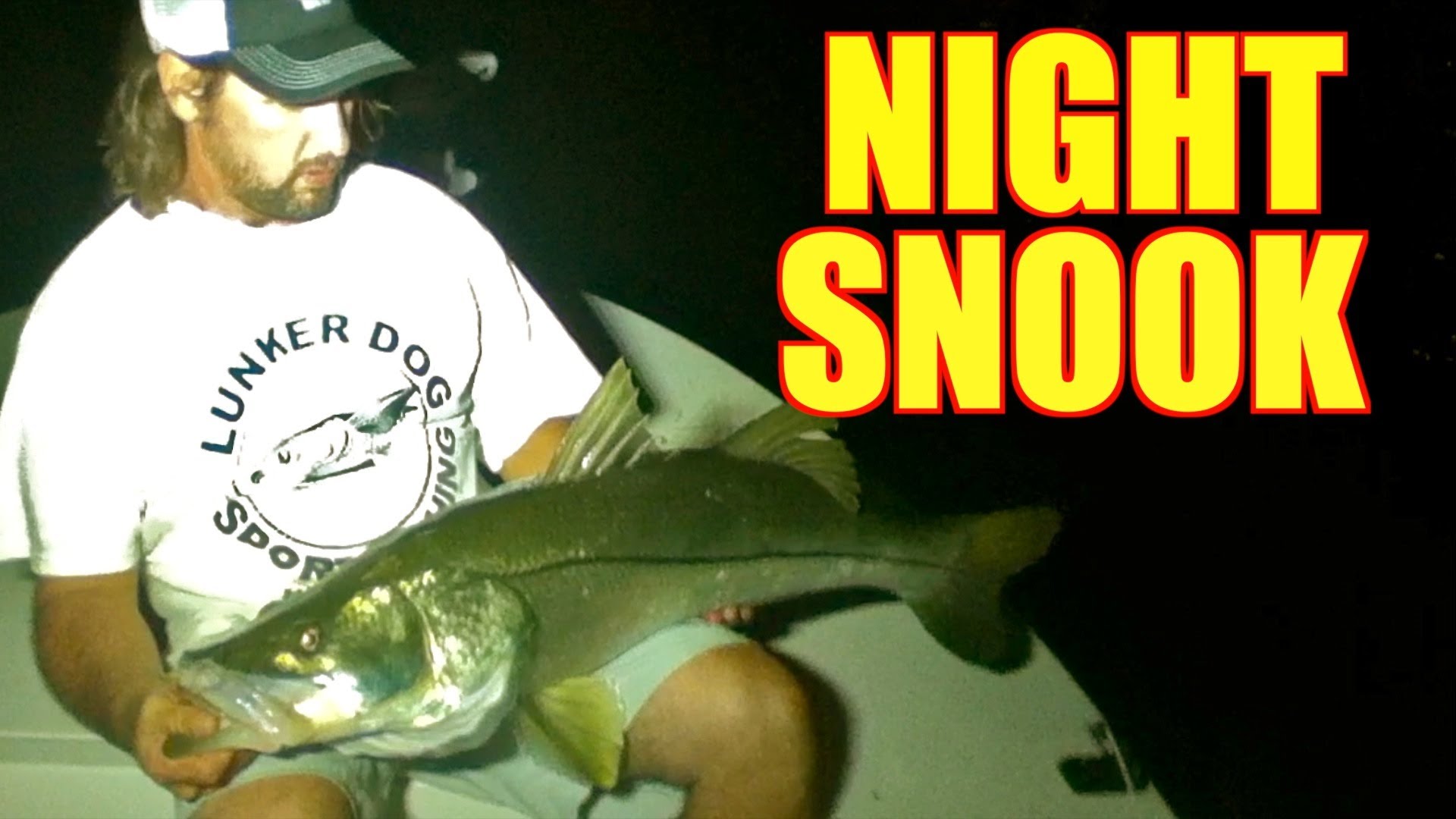 Big Snook Fishing Night Time Live Bait
