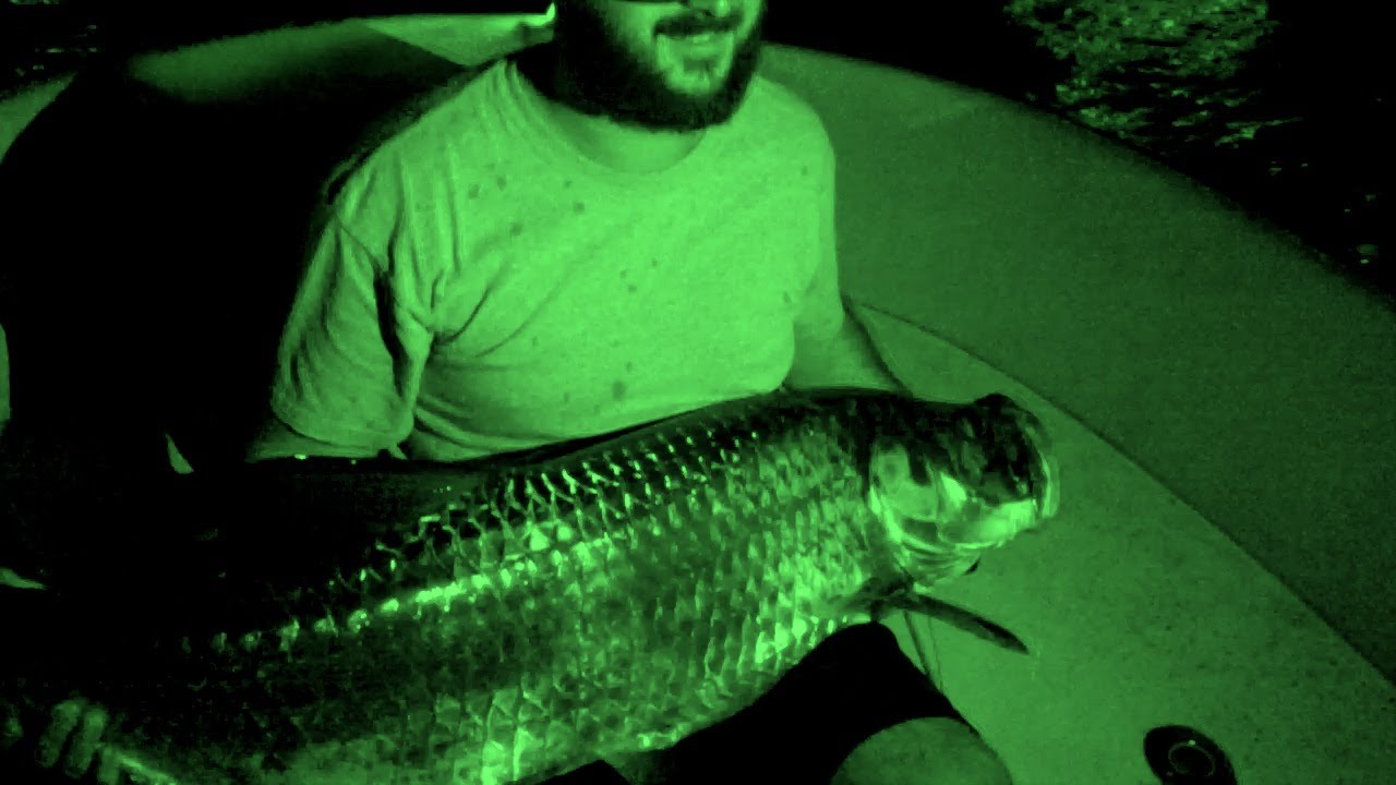 Night Tarpon Fishing