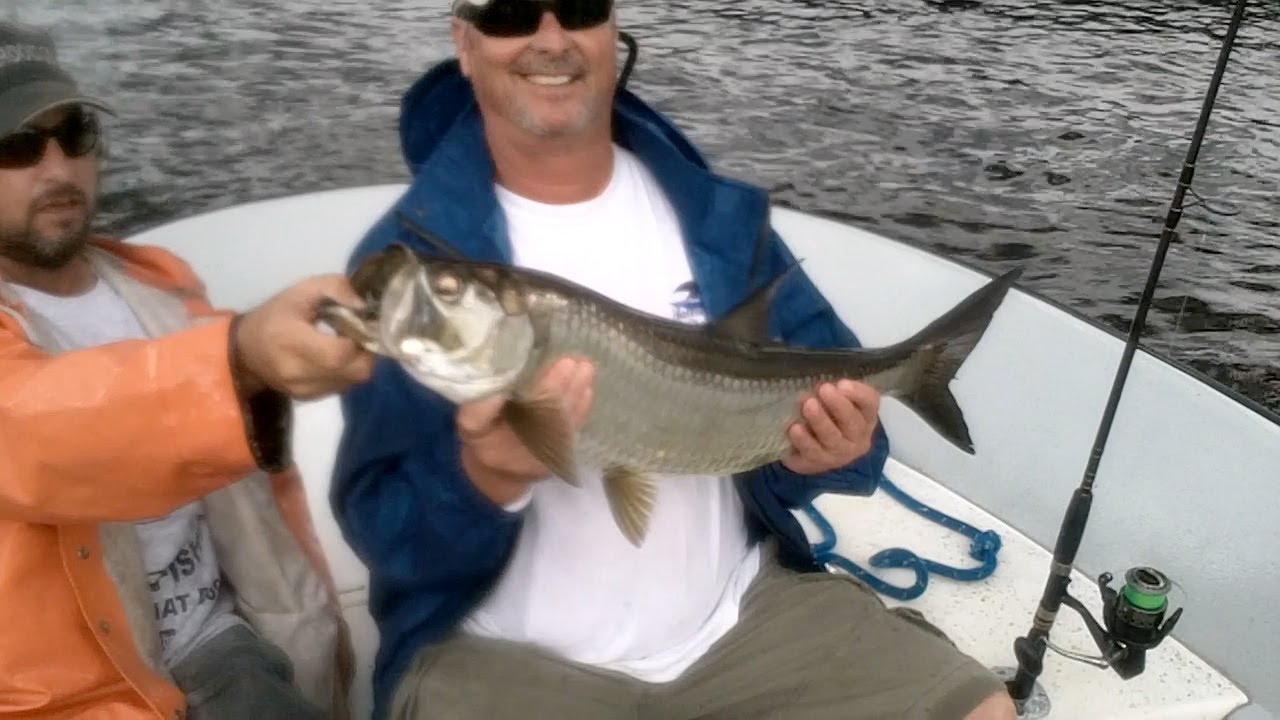 Fun Sized Tarpon on Live Bait