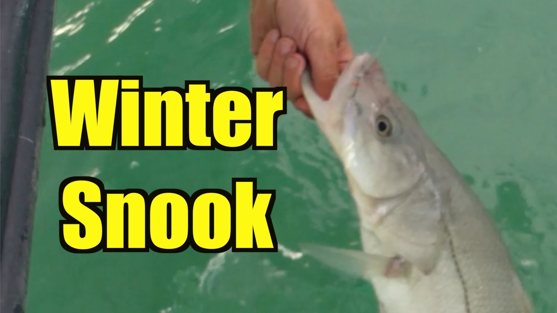 Winter Snook Fishing