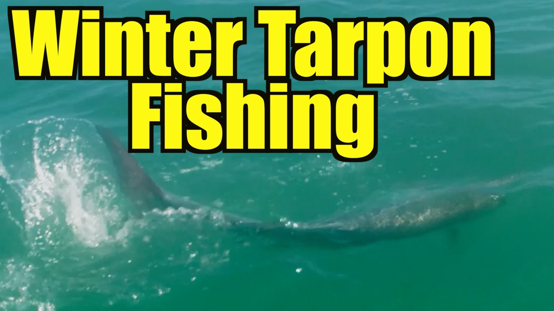 Winter Tarpon Fishing