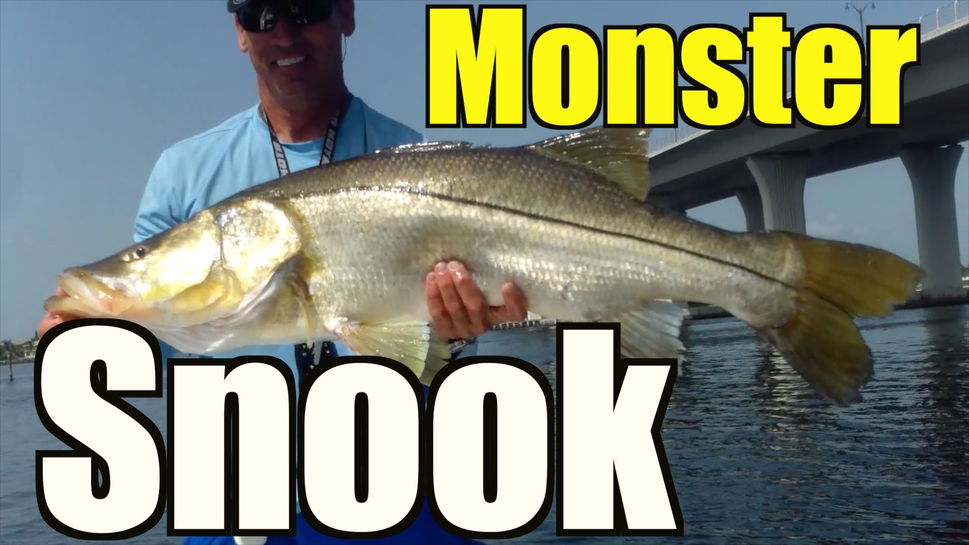 Urban River Tarpon Fishing with Hogleg Mullet – Lunkerdog