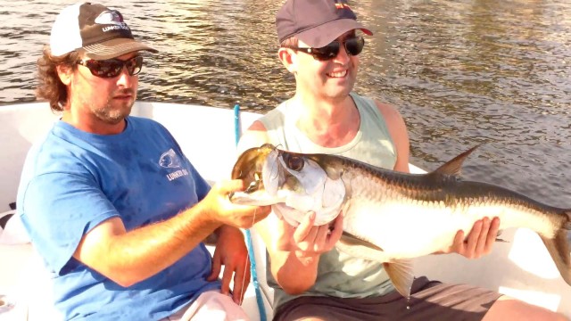 Tarpon Fishing Pre Pod Mullet Run