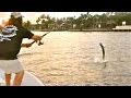 Christmas River Tarpon with Jumps!