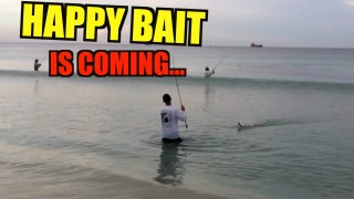 Are You Ready For Happy Bait