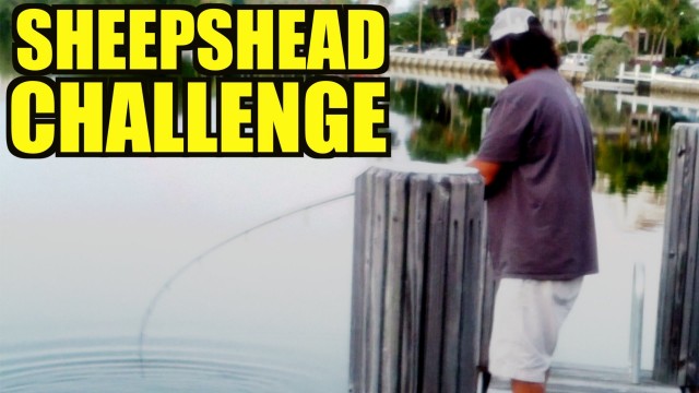 Sheepshead Fishing With Shrimp FAIL