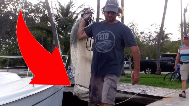 Are You Serious About Fishing Bait?! – Lunkerdog