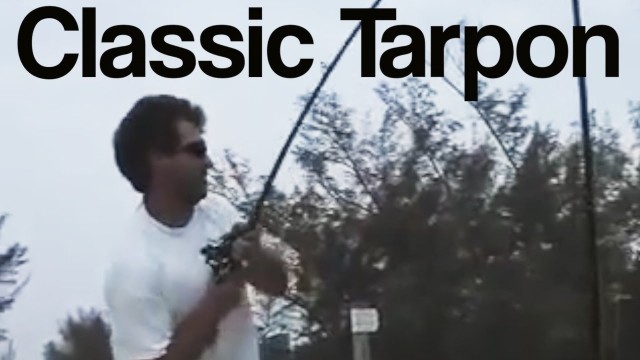 Ultimate Tarpon Hookset – Lunkerdog