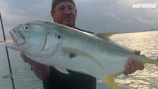 Monster Jack Fishing  and Tarpon Break Off