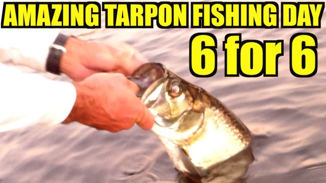 Amazing Tarpon Fishing Day 6 for 6