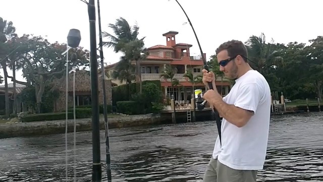 Insane Neighborhood Fishing. You must see these fish!