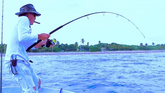 Tarpon Fishing Battle Andy Mill 2014 Happy Bait