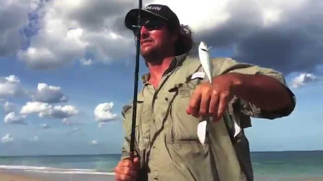 Casting Live Bait  Beach Bait Basics – The Mullet Run