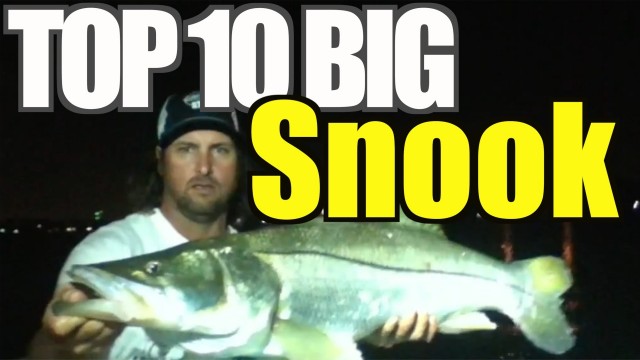 Top 10 BIG Snook Catches